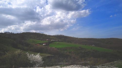 Scenic view of field against sky