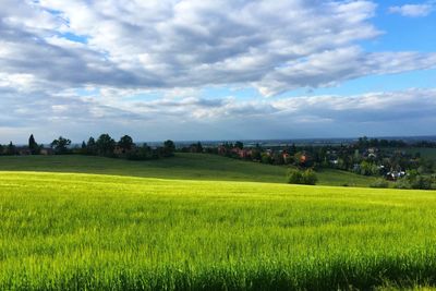 Scenic view of field against cloudy sky