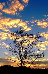 Scenic view of landscape at sunset