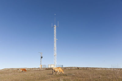 Wind turbines on a field