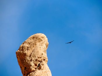 Low angle view of eagle flying against clear blue sky