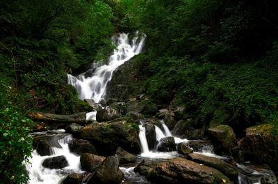 Scenic view of waterfall in forest