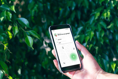 Low section of person holding smart phone