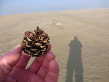 Close-up of person holding sand on beach against sky