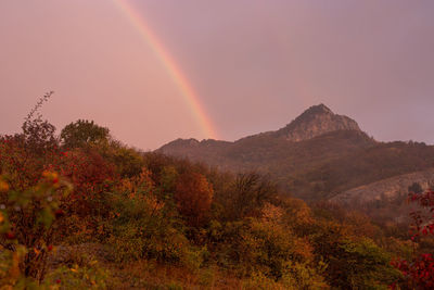 Scenic view of rainbow against sky during sunset