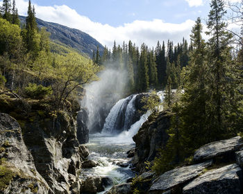 Scenic view of waterfall in forest against sky