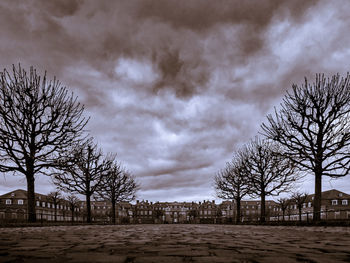 Bare trees on landscape against sky