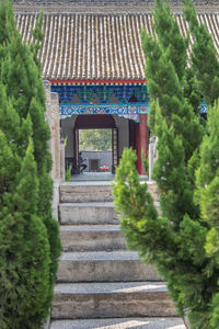 Staircase leading towards building amidst trees