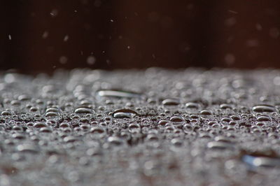 Water beading on a car roof