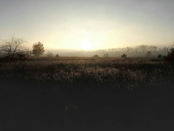 Scenic view of field against clear sky at sunset