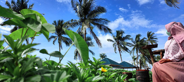 Low angle view of palm trees against sky