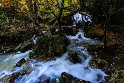 Scenic view of waterfall in forest