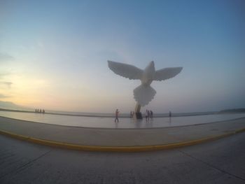 View of birds in flight