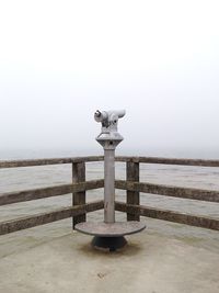 Reflection of trees in water