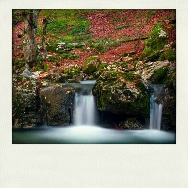 waterfall, water, flowing water, motion, long exposure, flowing, beauty in nature, scenics, forest, nature, tree, rock - object, blurred motion, environment, idyllic, waterfront, tranquility, tranquil scene, outdoors, day