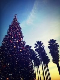 Low angle view of christmas tree