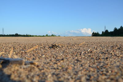 Scenic view of field against clear sky