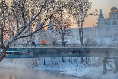 Bare trees by canal during winter