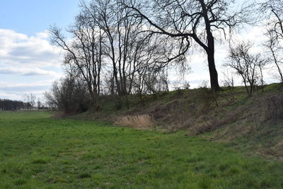 Bare trees on field against sky