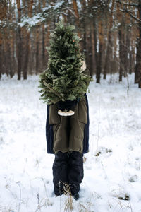 Back view of woman in red hat carrying christmas tree and walkng in snow winter park. preparing for