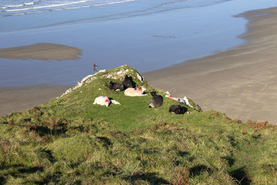 Rhossili cliffs gower