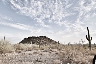 Panoramic view of landscape against sky