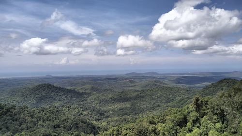 environment