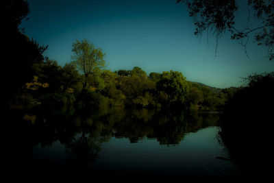 Reflection of trees in calm lake