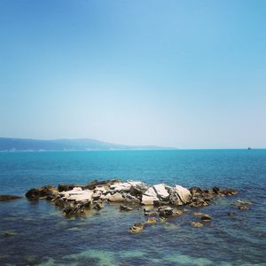 Scenic view of sea against clear sky