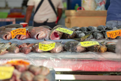 Fish for sale at market stall