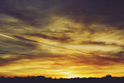 Low angle view of silhouette trees against sky during sunset