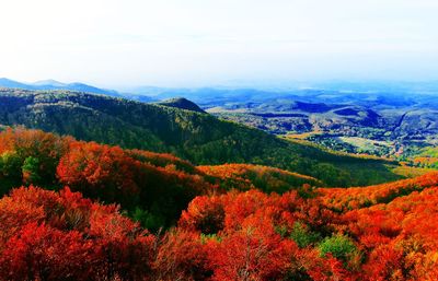 Scenic view of landscape against sky during autumn