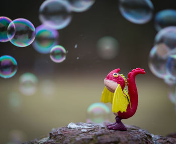 Close-up of bubbles in mid-air