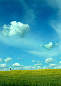 Scenic view of field against sky