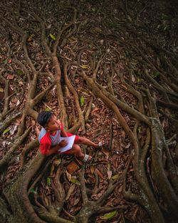 High angle view of cute boy sitting by tree