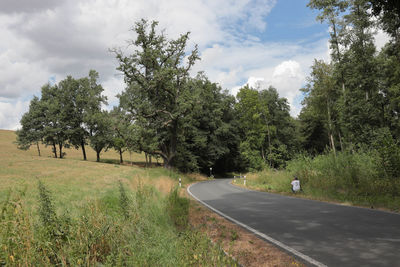 Road amidst trees against sky