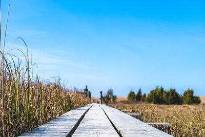 Surface level of road on field against blue sky