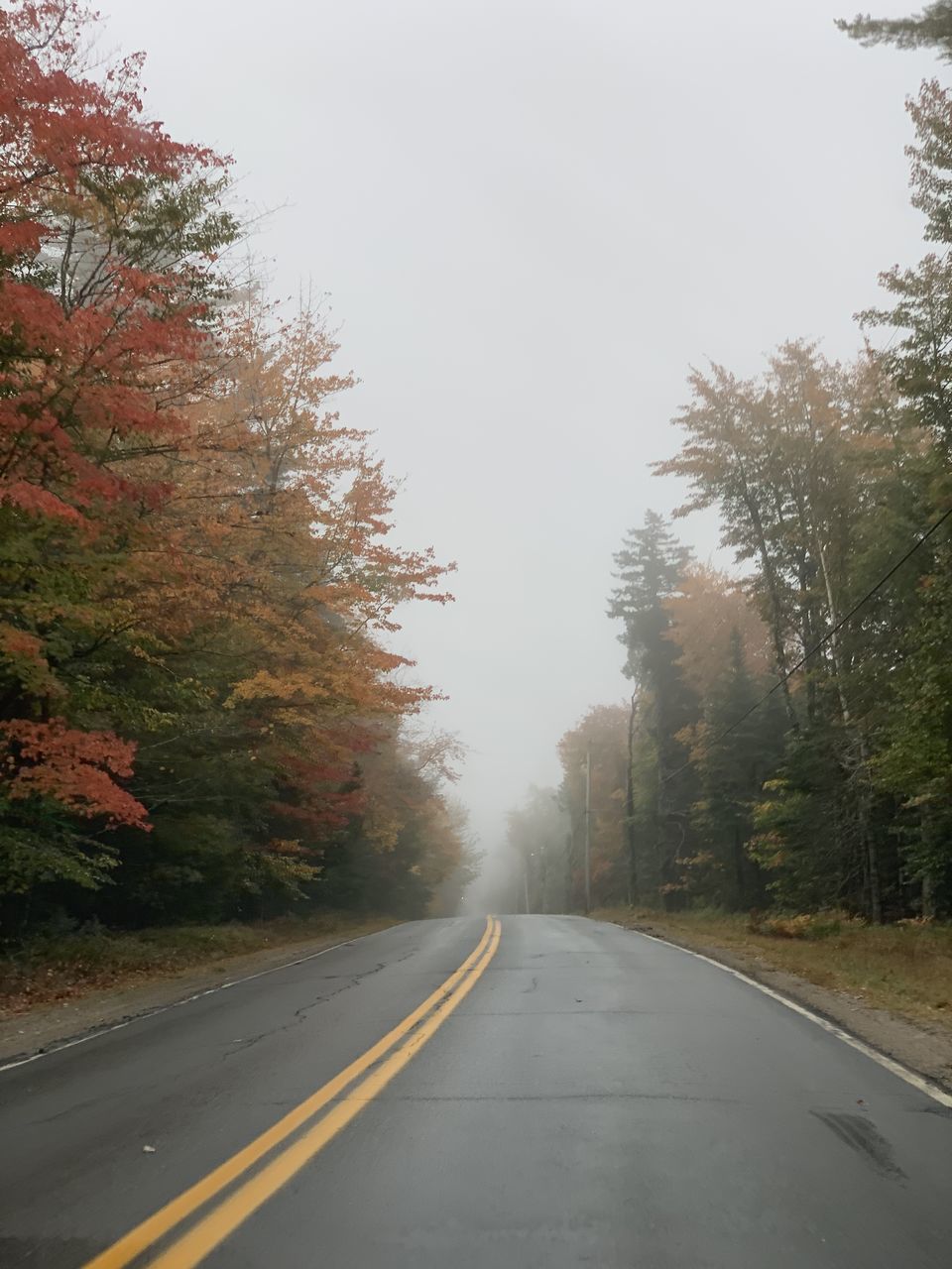 ROAD AMIDST TREES AGAINST SKY