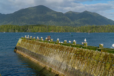 Scenic view of lake against mountains