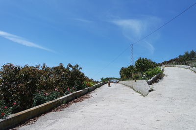 Road amidst trees against blue sky