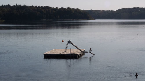 View of bird in lake