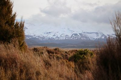 Scenic view of field against sky during winter