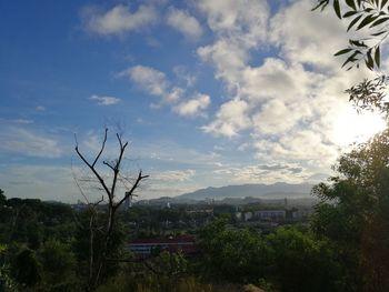 Trees on field against cloudy sky