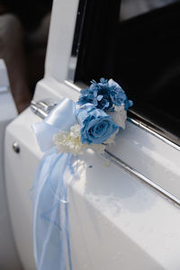 Close-up of blue and white roses