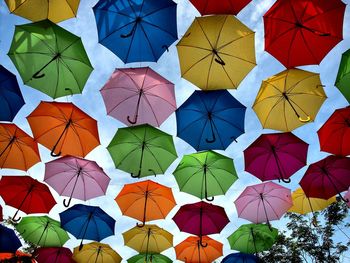 Low angle view of multi colored umbrellas hanging on leaves