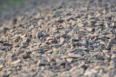 Close-up of stones on road