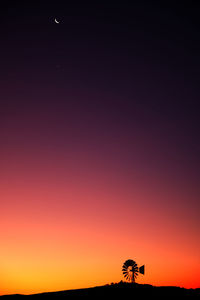 Silhouette plants against clear sky at night