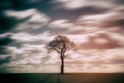 Bare trees on landscape against cloudy sky