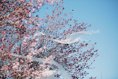 From below transparent plastic material waving on wind while hanging on branches against cloudless blue sky polluting the environment