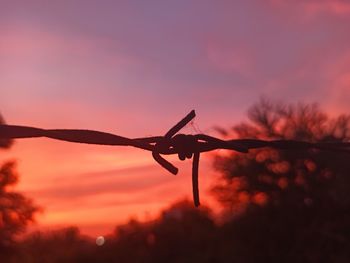 Low angle view of silhouette barbed wire against sky during sunset
